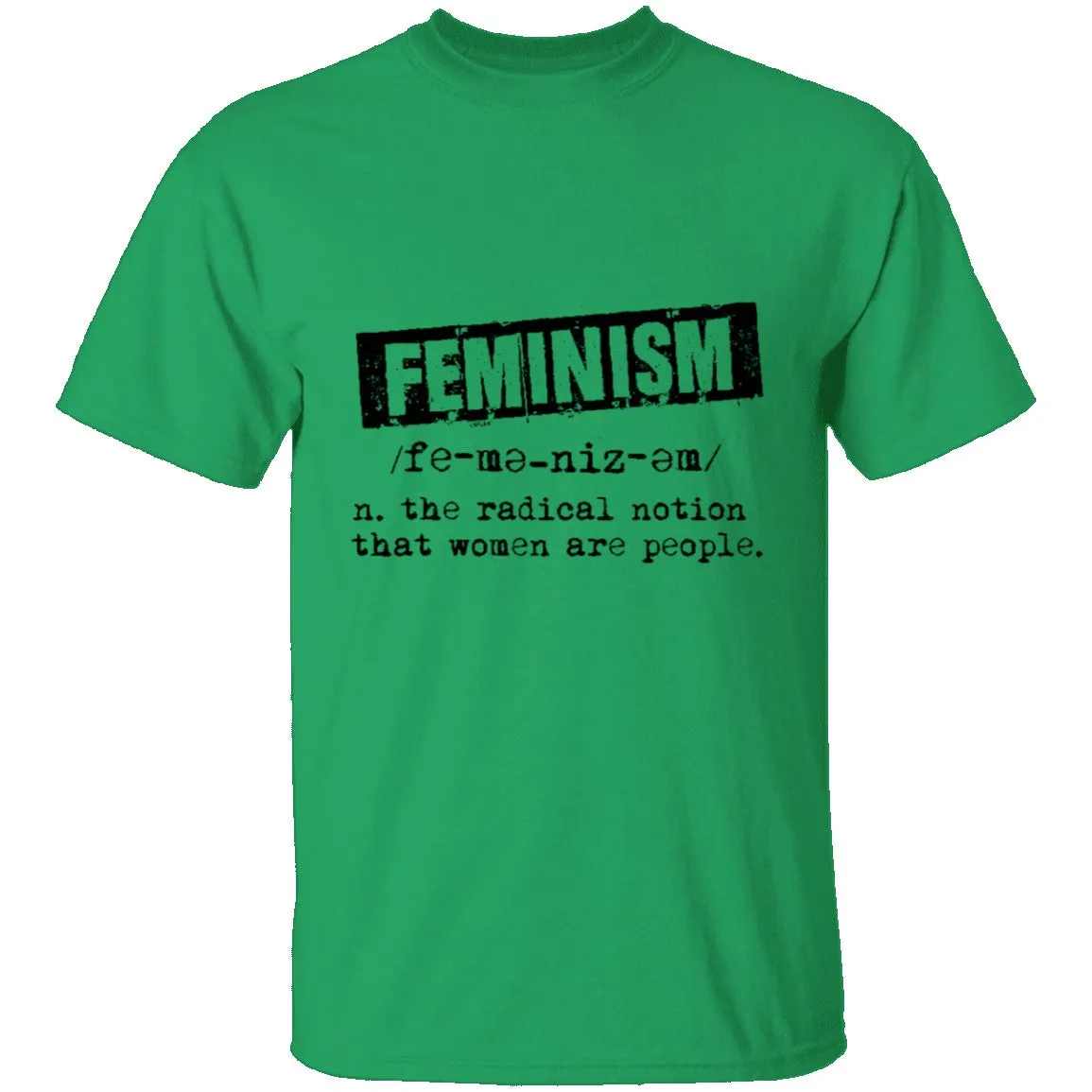 Feminism Deffinition T-Shirt